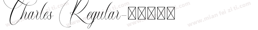 Charles Regular字体转换
